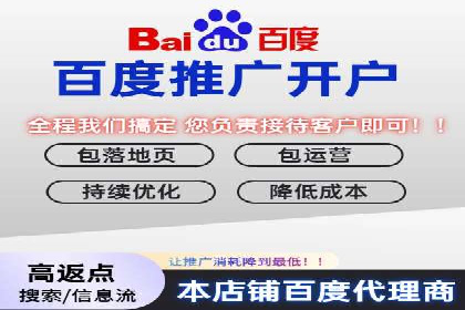 百度竞价广告与自然搜索排名的结合策略案例